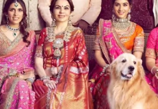 Mukesh Ambani’s pet dog Happy dies: बिजनेसमैन मुकेश अंबानी के पालतू कुत्ते हैप्पी की मौत, अंबानी परिवार के काफी करीब था ये डॉग