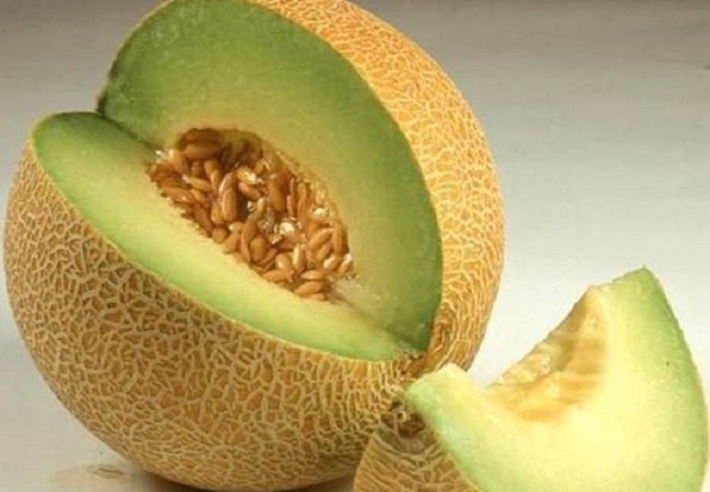 Benefits of eating melon seeds: खरबूजे के बीजों को खाने से सेहत को होते है इतने गजब के फायदे, जानकर रह जाएंगे हैरान