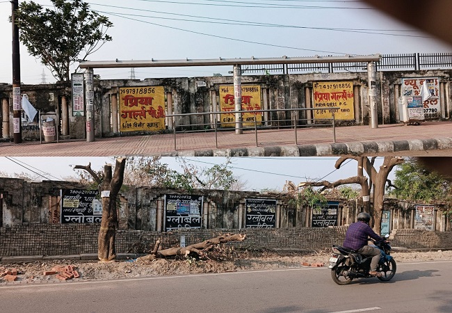 Lucknow News : योगी जी ये कैसा विकास? निर्माण के नाम पर पर्यावरण से खिलवाड़, काटे जा रहे हैं हरे पेड़