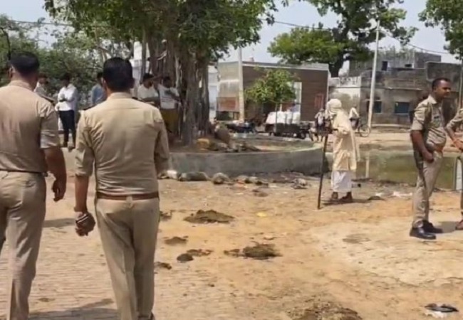मथुरा से हैरान करने वाला मामला, एक साथ कई बंदरों की मौत, जांच के बाद जब सामने आयी सच्चाई तो लोगो के उड़ गए होश
