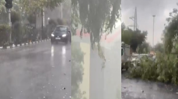 Rain in Delhi: दिल्ली और नोएडा में बदला मौसम का​ मिजाज, झमाझम बारिश के साथ चल रहीं हैं तेज हवाएं