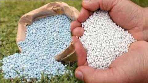 एमपी के किसानों को सताने लगी खाद की चिंता, केन्द्रों पर अन्नदाताओं की कतार
