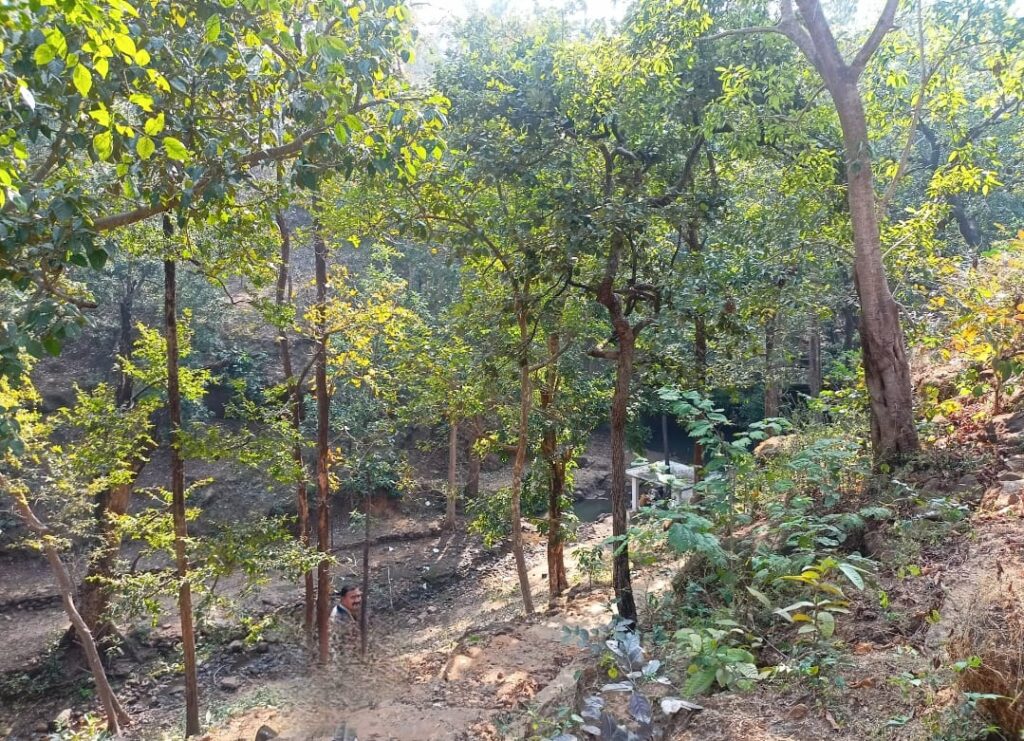 बैतूल जिले में ताप्ती और बालाघाट जिले का सोनेवानी बनेगा कंजर्वेशन रिजर्व