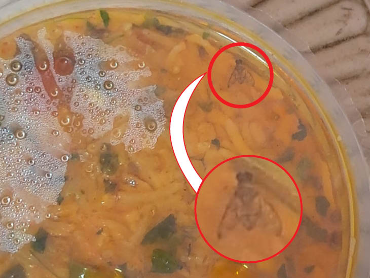 खिचड़ी में मिली थी मक्खी, साल भर बाद मिला उपभोक्ता को न्याय