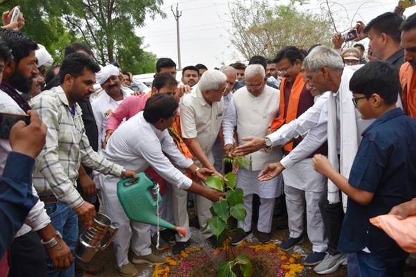 वनों को समाप्त करने का दुष्परिणाम है जलवायु परिवर्तन