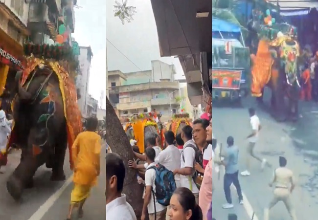 VIDEO: जगन्नाथ रथ यात्रा के दौरान हाथी हुआ बेकाबू; बीच सड़क लगाने लगा दौड़, भगदड़ में शख्स घायल