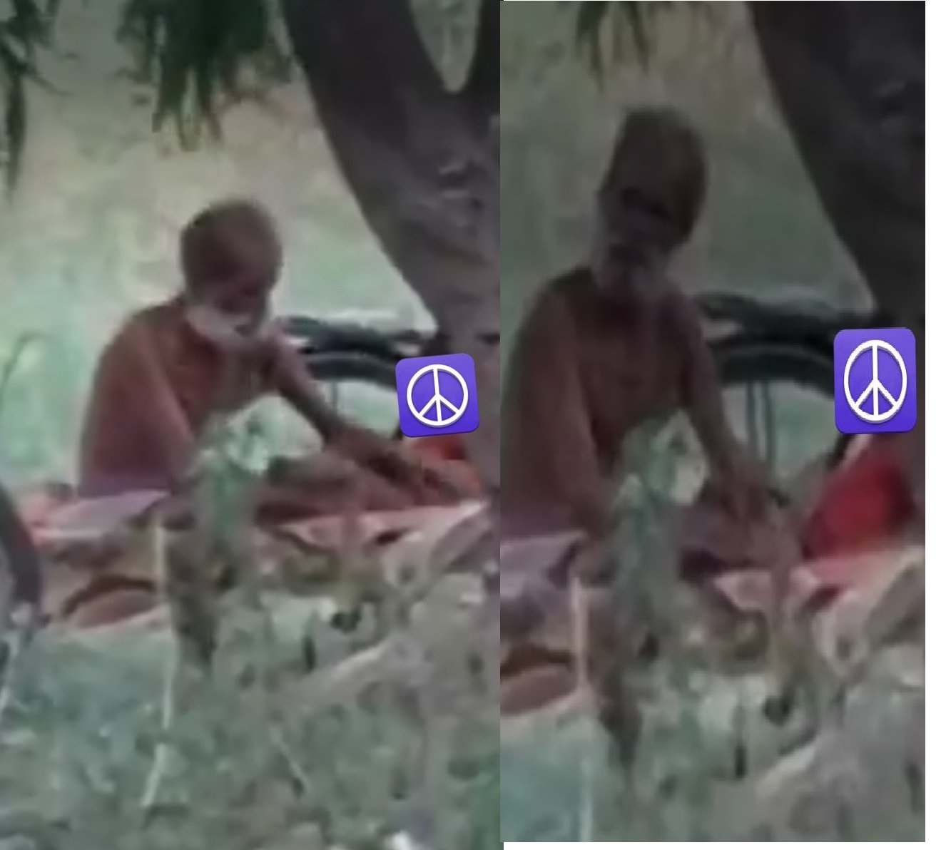 VIDEO-बलरामपुर जिले में 55 साल के बुजुर्ग ने 5 वर्षीय बच्ची का रेप किया, पुलिस ने भेजा जेल, सपा ने बीजेपी पर लगाए गंभीर आरोप