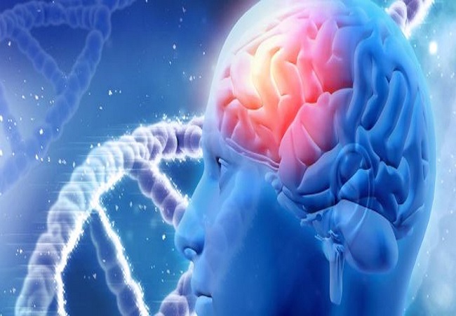 Brain Tumor : ब्रेन ट्यूमर है जोखिम भरा, रहें सावधान, न रहें इनके बीच, करवाते रहें दिमाग की जांच