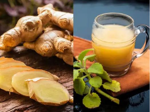 Ginger Benefits : अदरक के सेवन से तेजी से घटेगा वजन, जानें स्लिम फिटनेस का फॉर्मूला  