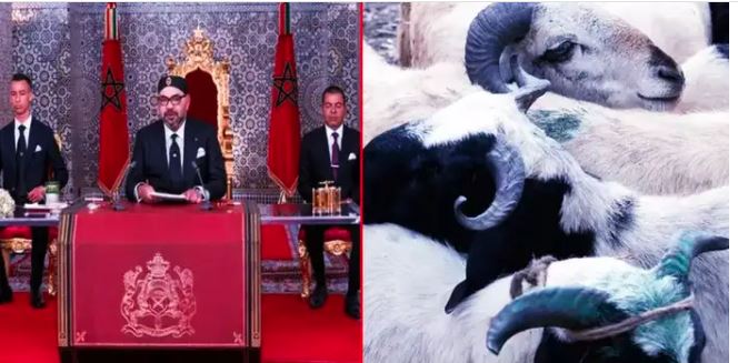 99 फीसदी आबादी वाले इस मुस्लिम देश में बकरीद पर कुर्बानी बैन, पूरे मुल्‍क में बकरे ढूंढ़ने के लिए छापेमारी जारी, इबादत और दान से मनायें त्योहार