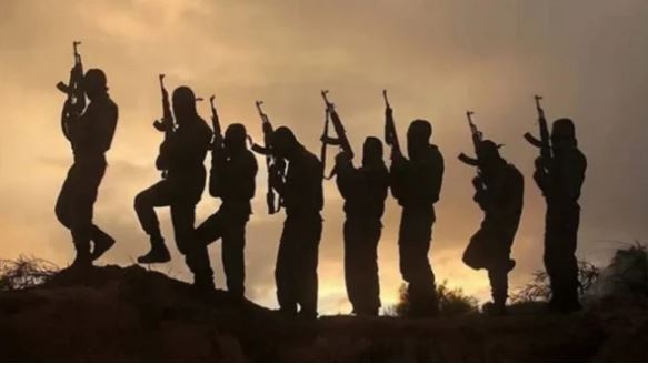 Niger : पश्चिमी नाइजर में हथियारबंद लोगों ने की 34 सैनिकों की हत्या, 14 घायल