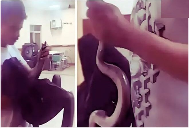 VIDEO-सांप काटने के बाद युवक ने किया कुछ ऐसा, अस्पताल में मची अफरा-तफरी