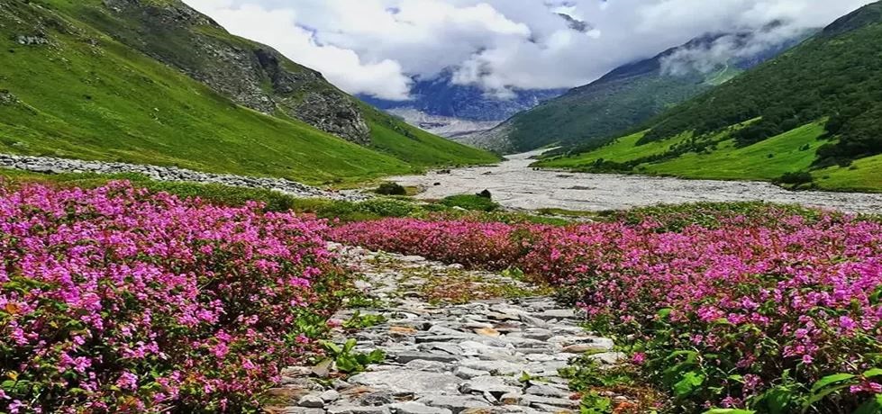 Valley of Flowers : सैलानियों के लिए खुली विश्व प्रसिद्ध फूलों की घाटी , धरती के स्वर्ग पर पहुंचने के लिए करना होगा ये काम 