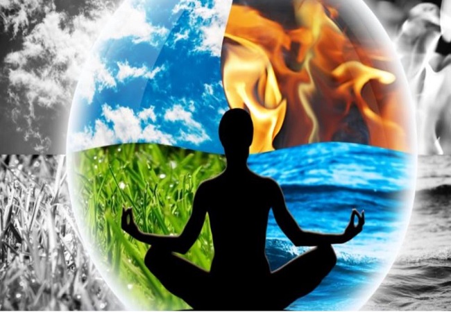 World Environment Day 2025 : सकल सृष्टि की सुरक्षा का एक मात्र उपाय है सनातन पथ