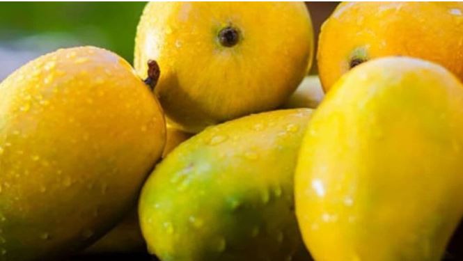 Never Eat These Foods With Mango:आम के साथ कभी न खायें ये चीज, नहीं तो हो जायेगी बड़ी बीमारी