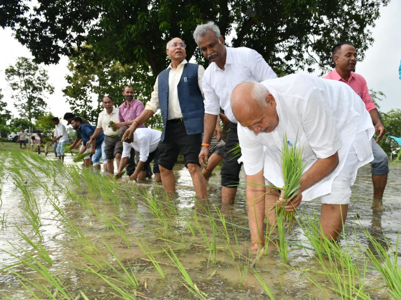 कृषि मंत्री सूर्य प्रताप शाही ने नरेंद्र देव कृषि विश्वविद्यालय में धान की रोपाई की, बोले – आधुनिक कृषि पद्धति अपनाकर किसान अपनी आय में कर सकते हैं वृद्धि