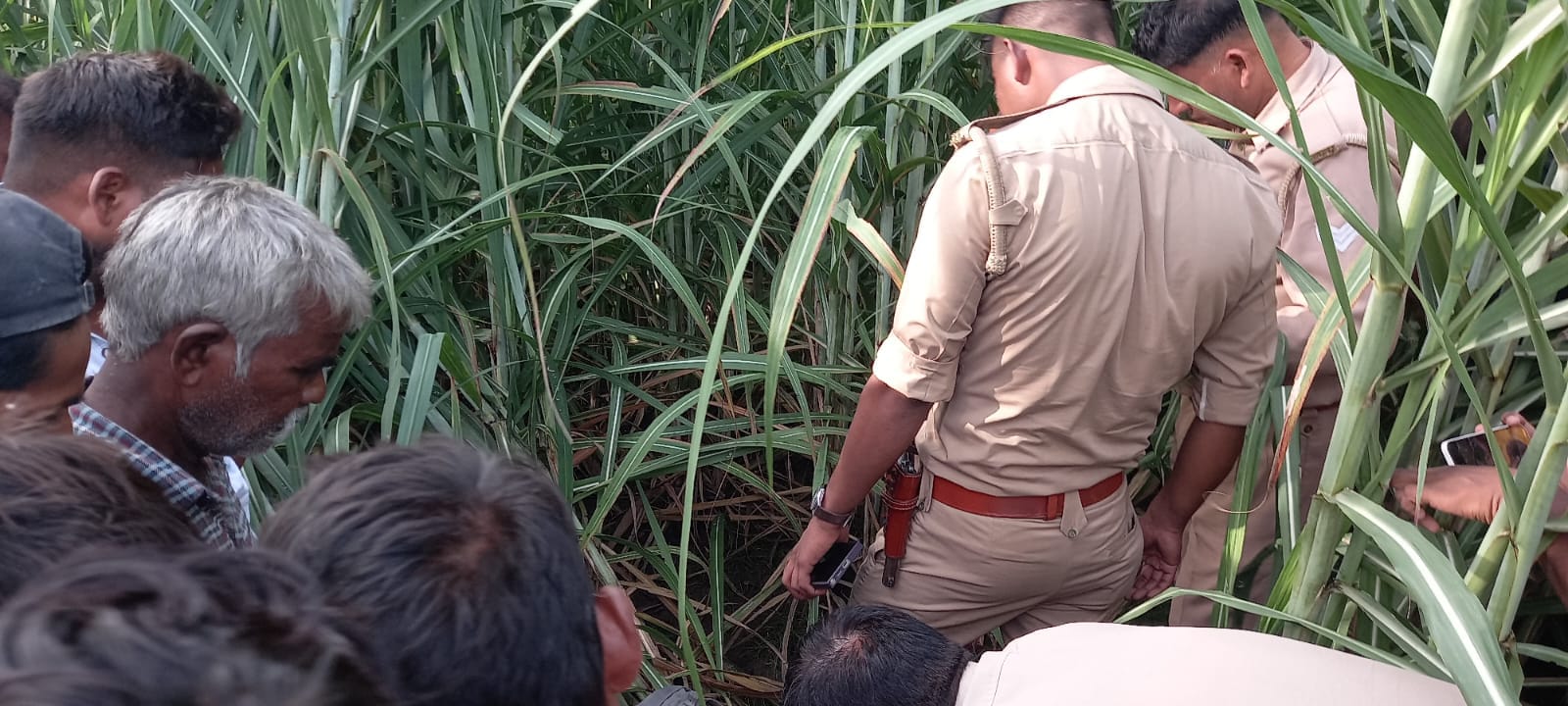 लखीमपुर खीरी जिले में तेंदुए और बाघ का नहीं थम रहा आतंक, मासूम को चारपाई से उठा ले गया तेंदुआ