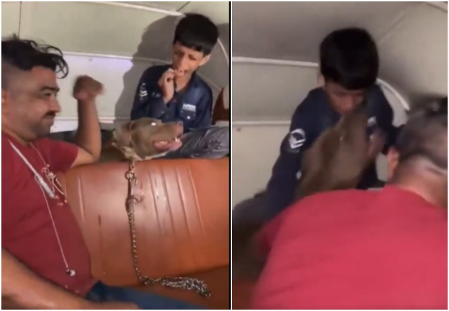 Video- बच्चे को पिट बुल डॉग से कटवाकर ठहाके मारता रहा सोहैल खान; डर और दर्द से रोता रहा मासूम