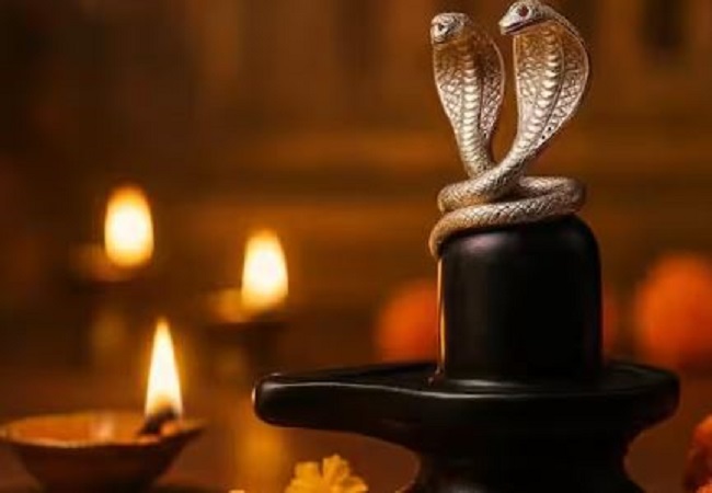 Nag Panchami 2025 : नाग पंचमी पर करें राशि अनुसार उपाय , बदल जाएगी किस्मत
