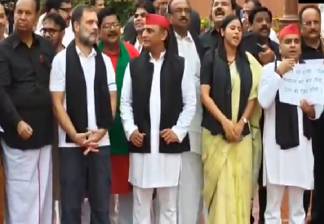 Monsoon Session: बिहार SIR के खिलाफ संसद भवन में विपक्ष का विरोध प्रदर्शन, लोकसभा में नारेबाजी के बीच सदन की कार्यवाही स्थगित