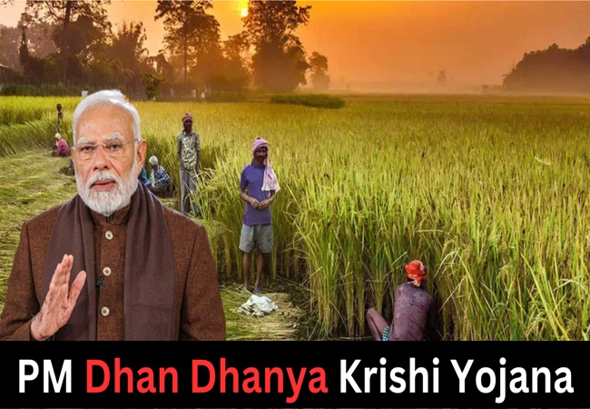जानिए क्या है PM धन-धान्य कृषि योजना? जिस पर मोदी कैबिनेट ने लगाई मुहर, इन 100 जिलों के किसानों को मिलेगा फायदा