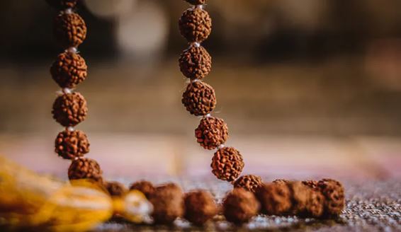 Rudraksha in Sawan : रुद्राक्ष की महिमा अपार है  , किस्मत चमकाने के लिए सावन में धारण करें रुद्राक्ष