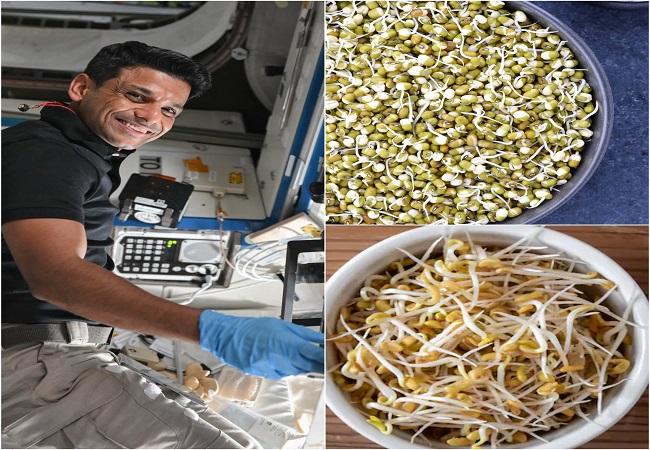 भारतीय अंतरिक्ष यात्री शुभांशु शुक्ला ने माइक्रोग्रैविटी में मूंग और मेथी के बीजों का अंकुरण का किया प्रयोग, बोले- मैं बेहद उत्साहित हूं