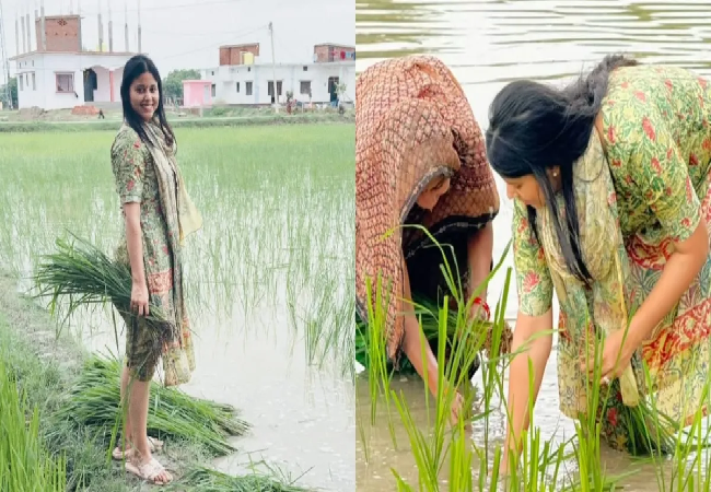 खेत में धान रोपते सपा सांसद प्रिया सरोज का VIDEO हुआ वायरल, यूजर्स कर रहे हैं तारीफ