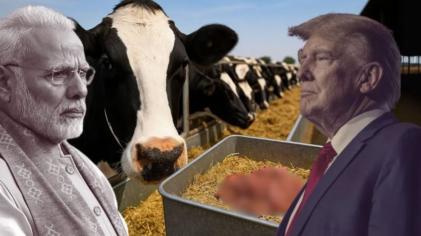 अब भारत में अमेरिकी डेयरी प्रॉडक्ट्स की नो एंट्री, आमने—सामने आये दोनों देश