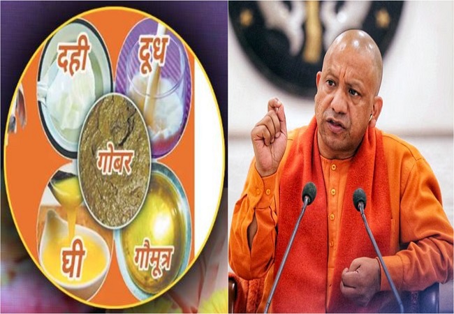 यूपी में गोमूत्र से होगा Diabetes-Heart समेत 19 बीमारियों का इलाज