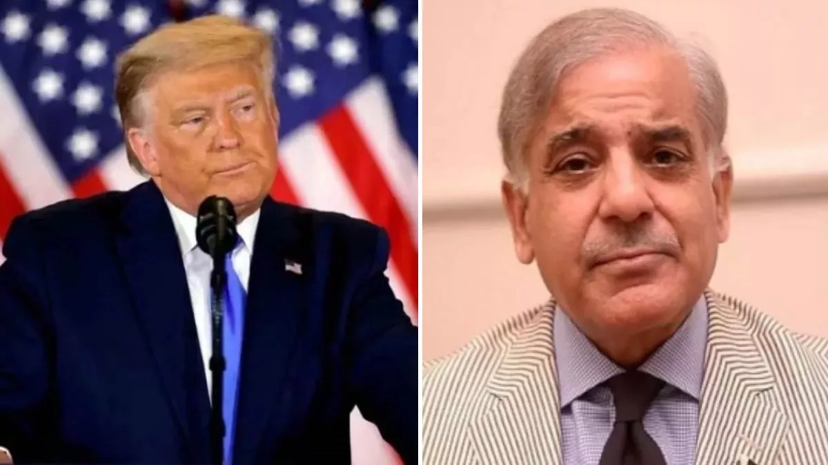 ‘ट्रंप ने पाकिस्तान के साथ की तेल पर डील’, बोले- एक दिन ऐसा आएगा कि भारत पाकिस्तान से खरीदेगा तेल