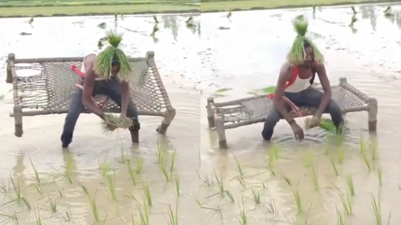 viral video: धान रोपाई का युवक ने बताया ऐसा तरीका ,’ये आइडिया देश से बाहर नहीं जाना चाहिए’ बोले यूजर