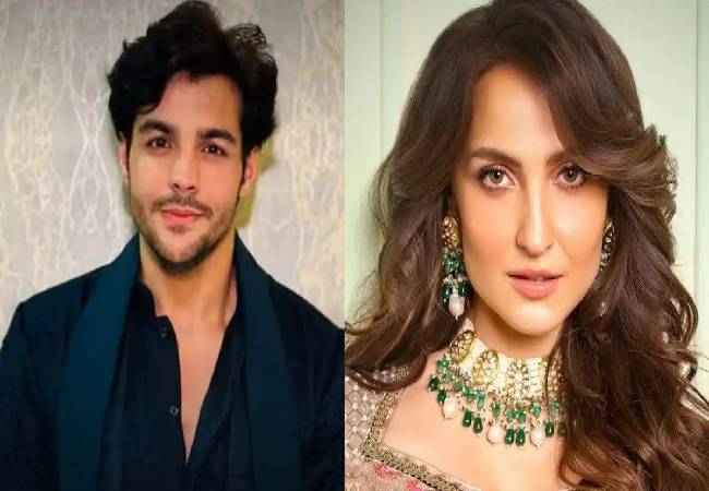 आशीष चंचलानी और एली अवराम ने अपने रिश्ते को लेकर बताया सच, दोनों इंस्टाग्राम पर आए लाइव