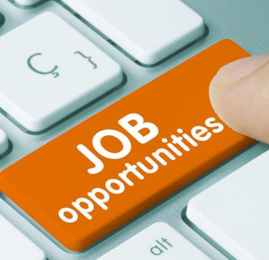 DSSSB,MPESB और एमपी ट्रांसको व बैंक ऑफ बड़ौदा में बंपर भर्ती, 7 अगस्त तक कर सकतें हैं आवेदन