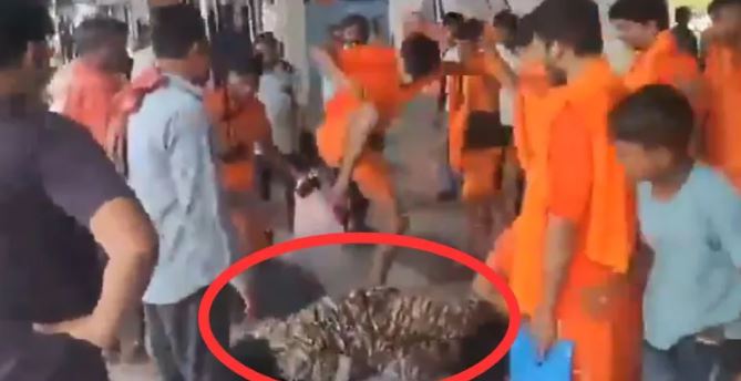 CRPF के जवान को कांवड़ियों ने पीटा, मारपीट का वीडियो सोशल मीडिया पर वायरल
