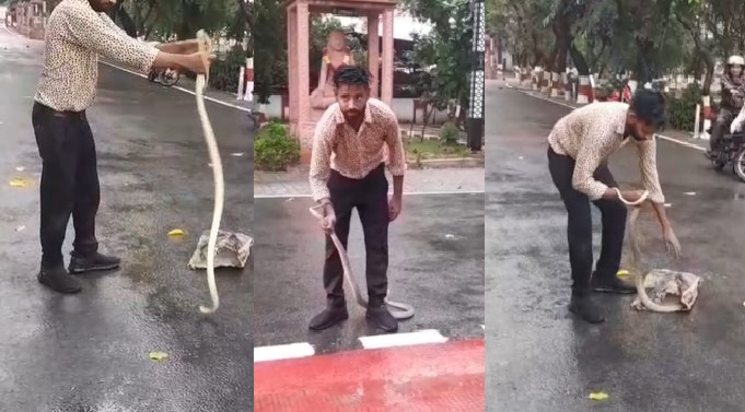 राज्यमंत्री सर्किट हाउस में ले रहे थे बैठक, किसान मोर्चा के जिलाध्यक्ष की कार में घुसा 6 फीट लंबा सांप