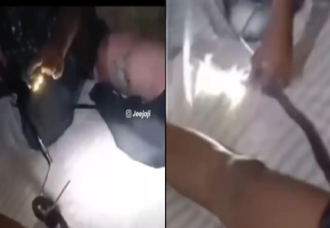 Viral video: बिस्तर पर लेटे हुए युवक की पैंट में अचानक घुस गया सांप, आगे जो हुआ इस Video में देखें