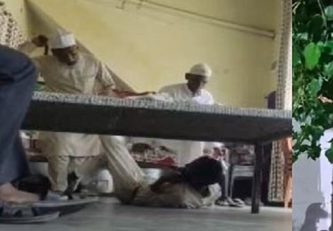 ससुरालवालों ने दामाद को बेरहमी से पीटा फिर पेड़ से बांधा…सोशल मीडिया पर वायरल हुई वीडियो