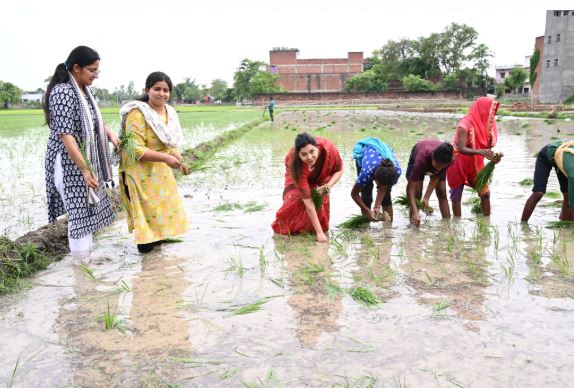 डॉ. प्रियंका मौर्य ने जिला अस्पताल का निरीक्षण कर जानी मरीजों की समस्याएं, खेत में उतरकर की धान की रोपाई