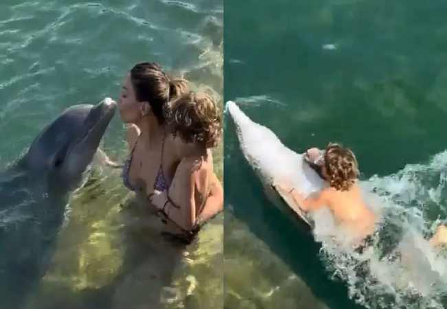 Viral Video: स्विमिंग पूल में डॉल्फिन ने बच्चे को पीठ पर लादकर कराई सैर, वायरल वीडियो ने जीता लोगों का दिल