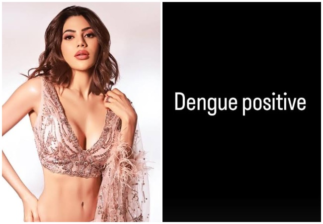 अभिनेत्री निक्की तंबोली को हुआ डेंगू, फैंस से हेल्थ अपडेट किया साझा