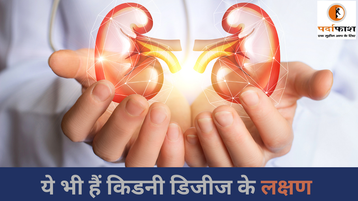 Healthcare Tips: शरीर के इन 4 हिस्सों का दर्द हो सकता है किडनी डिजीज का संकेत, सही Time पर हो जाएँ Alert