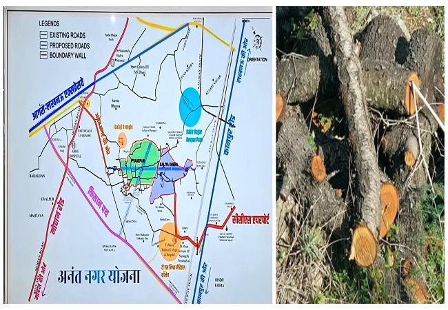 लखनऊ विकास प्राधिकरण हरियाली पर चलाएगा आरी, अनंत नगर योजना में काटे जाएंगे 133 पेड़