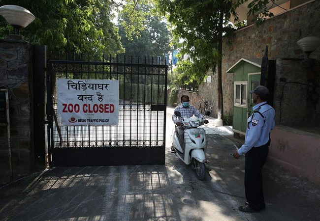 Delhi Bird Flu Cases: दिल्ली का चिड़ियाघर अगले आदेश तक रहेगा बंद, दो नमूनों में बर्ड फ्लू की पुष्टि