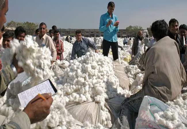 Big Relief: भारत सरकार ने कपड़ा व्यापारियों को दी बड़ी राहत, कपास पर आयात शुल्क छूट को तीन महीनों के लिए बढ़ाया