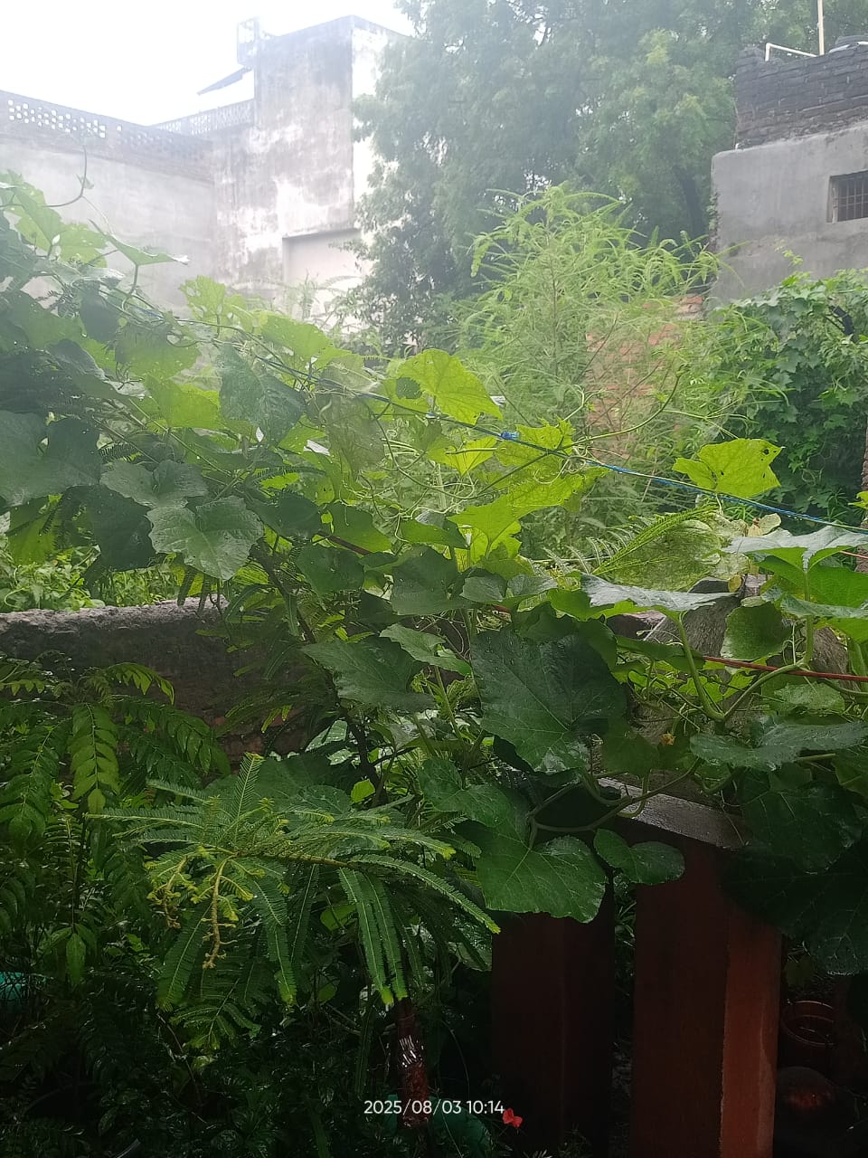 नौतनवा में झमाझम बारिश से मौसम सुहावना,गर्मी से मिली राहत