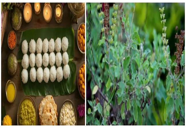 PITRU PAKSHA 2025 :  पितृ दोष दूर करने के लिए घर पर लगाएं ये पौधे ,  मिलेगा पितरों का आशीर्वाद