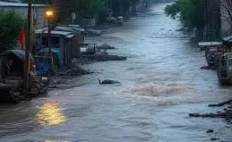 Pakistan Punjab Flood : पाकिस्तान के पंजाब प्रांत में बाढ़ से 30 लोगों की मौत ,  हजारों गांव जलमग्न