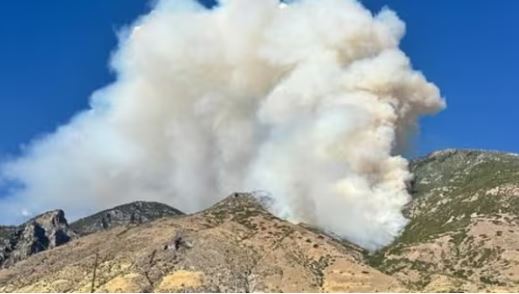 Provo massive fire : बकले ड्रॉ घाटी में फिर से भड़की जंगल की आग ; बुझाने के प्रयास जारी