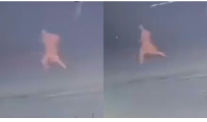 Video – बलरामपुर में मूक-बधिर युवती से हैवानों ने श्मशान घाट पर किया गैंगरेप, आबरू बचाने के लिए सड़क पर दौड़ती दिखी पीड़िता